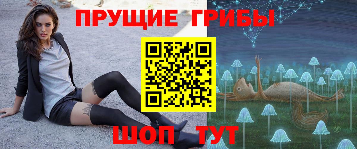Кингисепп  закладки  Псилоцибиновые грибы MAGIC MUSHROOMS  Вход с VPN  Псилоцибиновые грибы ЛСД 