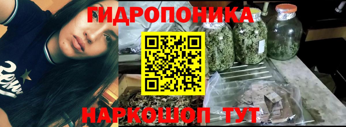 Шишки марихуана гибрид Кингисепп